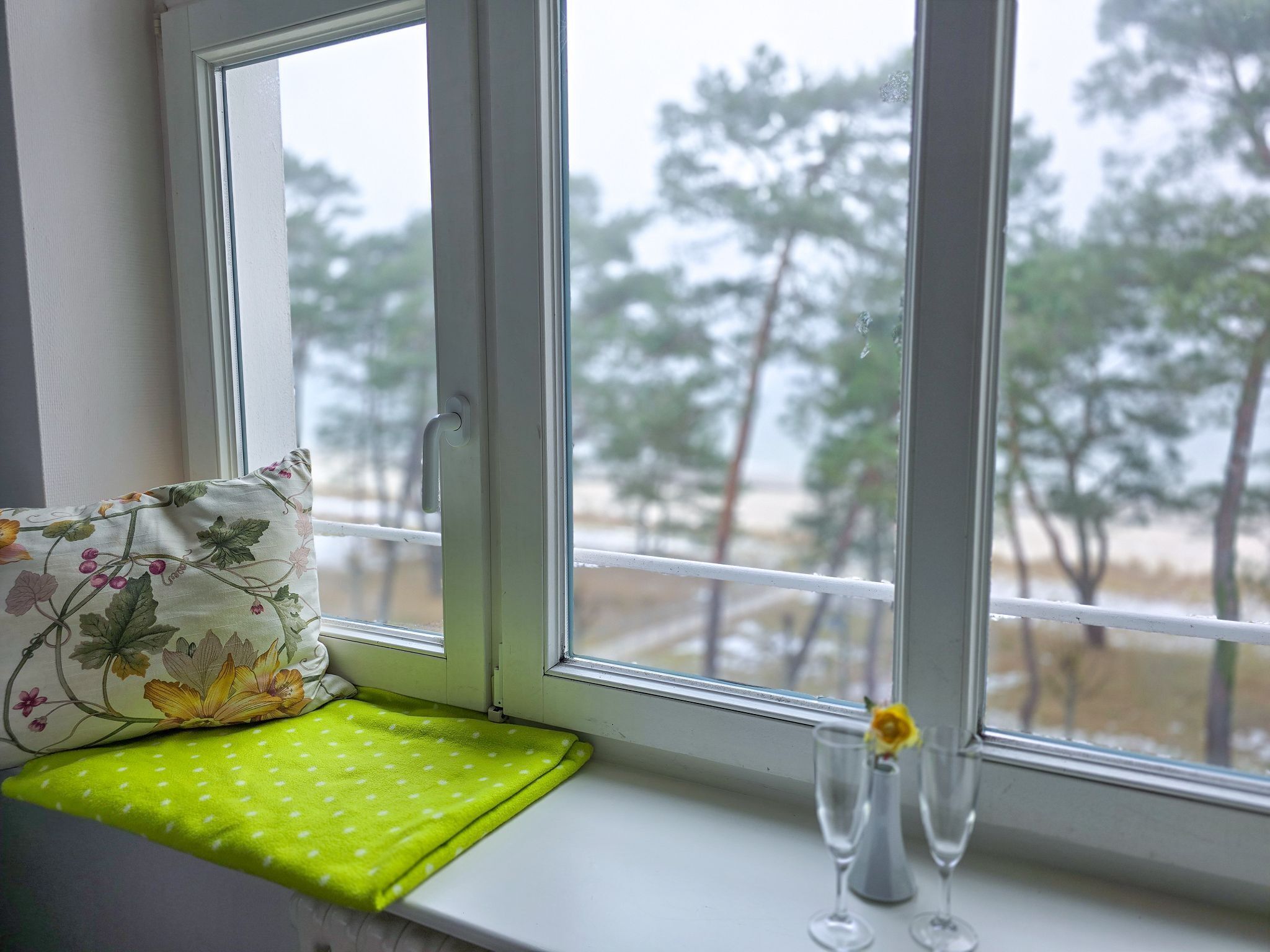 A window with a view of trees, a green cushion, and a vase with a flower.