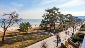Une vue sur la côte, avec une plage, des arbres et un sentier.