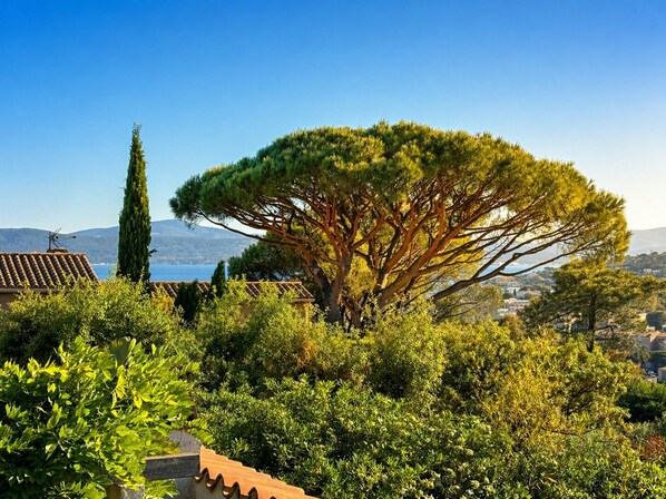 Property grounds - VILLA NONNA / 90m2, 3 bedrooms, 50m2 terrace, griddle, free Wifi and Netflix (Sainte-Maxime)