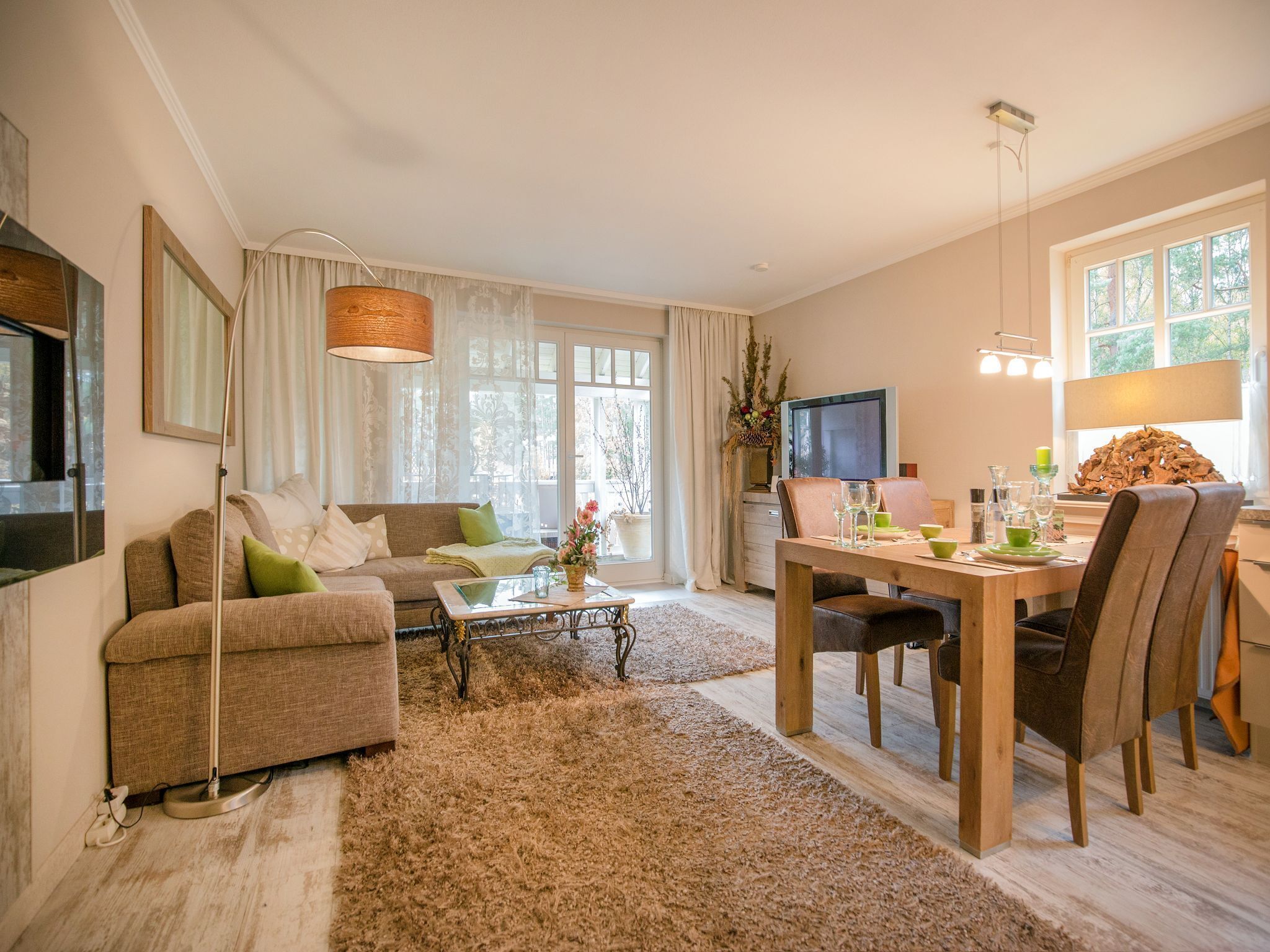 TV, DVD player, table tennis, stereo