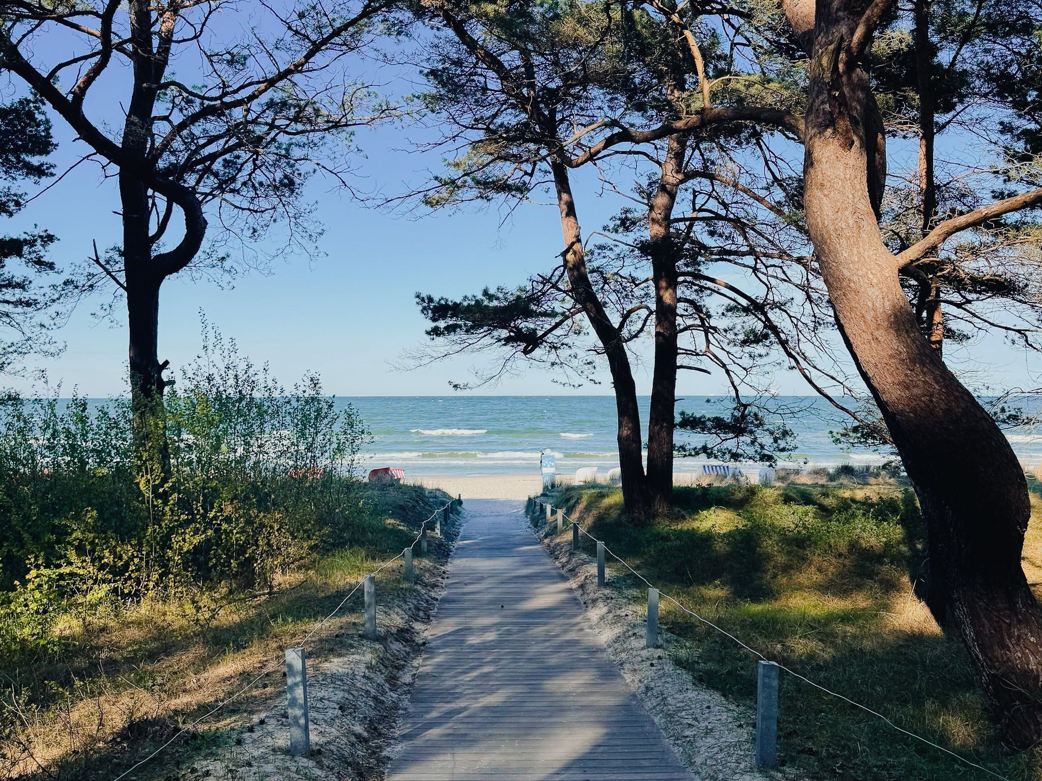 Vlak bij het strand