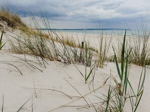 Playa en los alrededores 