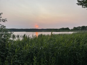 A sunset over a calm lake with dense vegetation in the foreground.