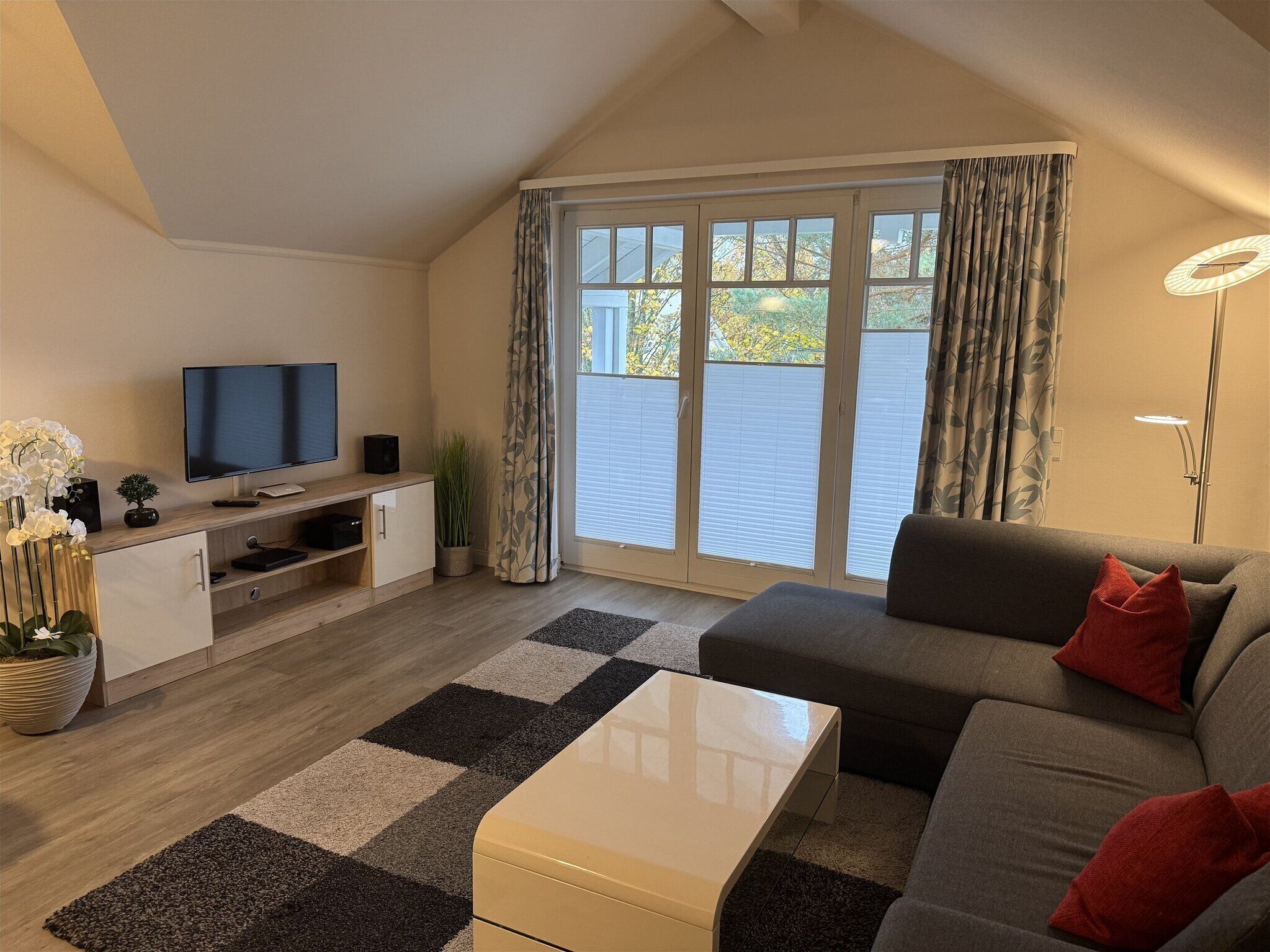 TV, DVD player, ping pong, stereo