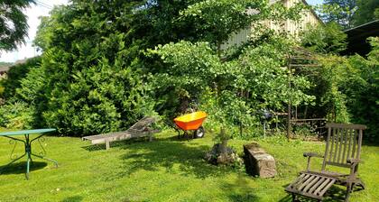 GITE A LA PETITE FONTAINE-RDC