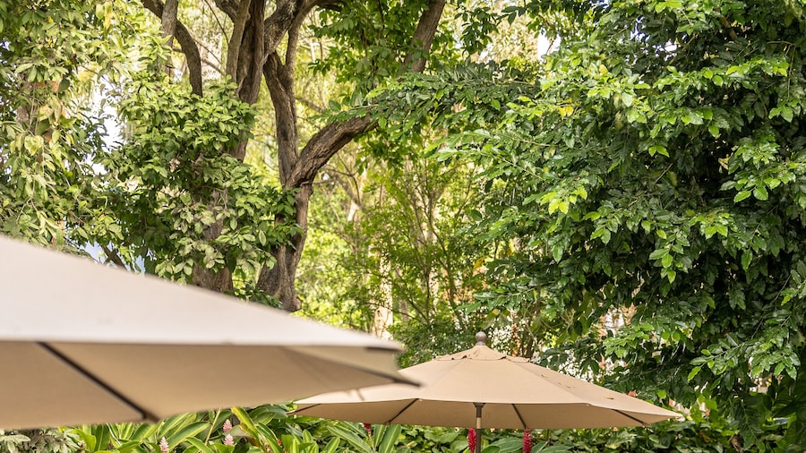 Hacienda San Antonio Millet