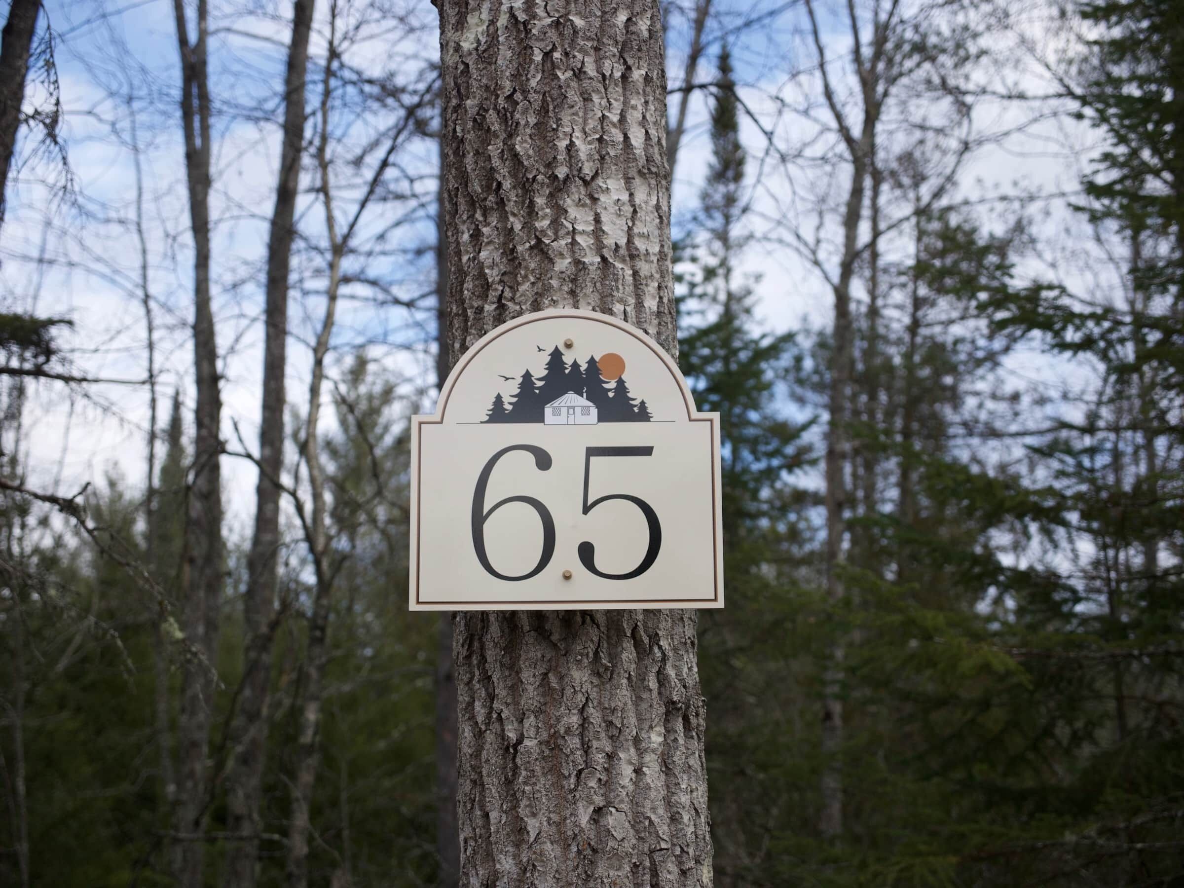 Puunrungossa metsässä oleva kyltti, jossa on numero 65.