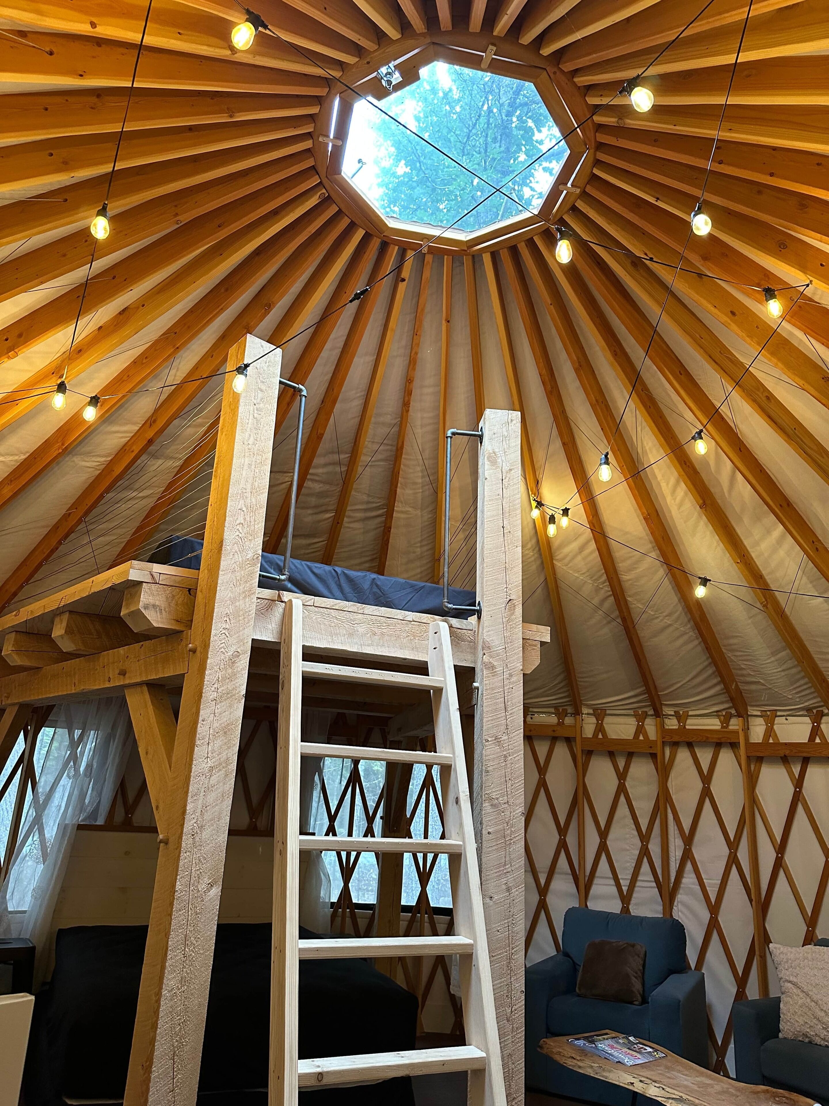 1 chambre