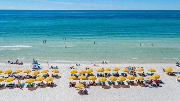 Una spiaggia con numerosi ombrelloni gialli e sdraie blu.