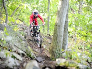 Divers