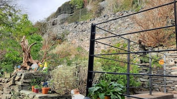 House | Property grounds