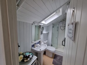 Casa | Baño | Regadera y secadora de cabello 