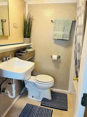 A bathroom with a white sink, toilet, and shower curtain. There is a towel rack, a potted plant, and a patterned rug on the floor. - Dafna, Unit 4 - One Bedroom, Cozy Little Home (Cromberg)