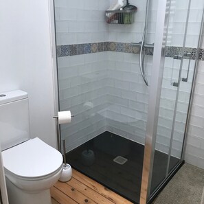Shower, hair dryer, soap, toilet paper