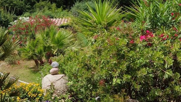 A garden with various plants and flowers, a stone bench, and a view of a mountain in the background. - 50 m2 basement apartment (ceiling height 1.80 m) (Figari)