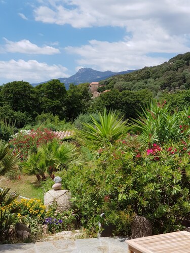 Appartement 50 m2  en Sous sol (hauteur sous plafond 1,80 m)