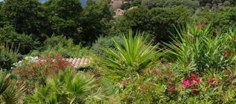 50 m2 basement apartment (ceiling height 1.80 m)