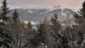 A snowy mountain landscape with a snow-covered path and trees. - Apartment Font Romeu (Font-Romeu-Odeillo-Via)