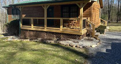Secluded cabin near South Holston River