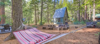 Spacious Classic Cabin Retreat- near Lassen