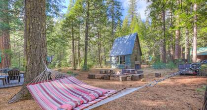 Spacious Classic Cabin Retreat- near Lassen