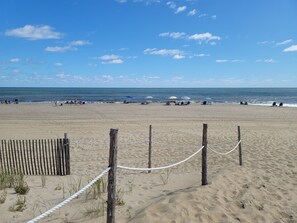 A sandy beach with a wooden fence and rope barrier, leading to the ocean.
