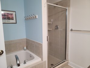 Combined shower/tub, jetted tub, hair dryer