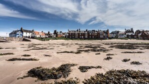 A beach with seaweed and houses in the background. - Lovely beachside apartment, with uninterrupted views across to the Fife coastline.  Sleeps 8. (North Berwick)