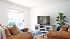 Smart TV, chimenea, reproductor de DVD y libros 