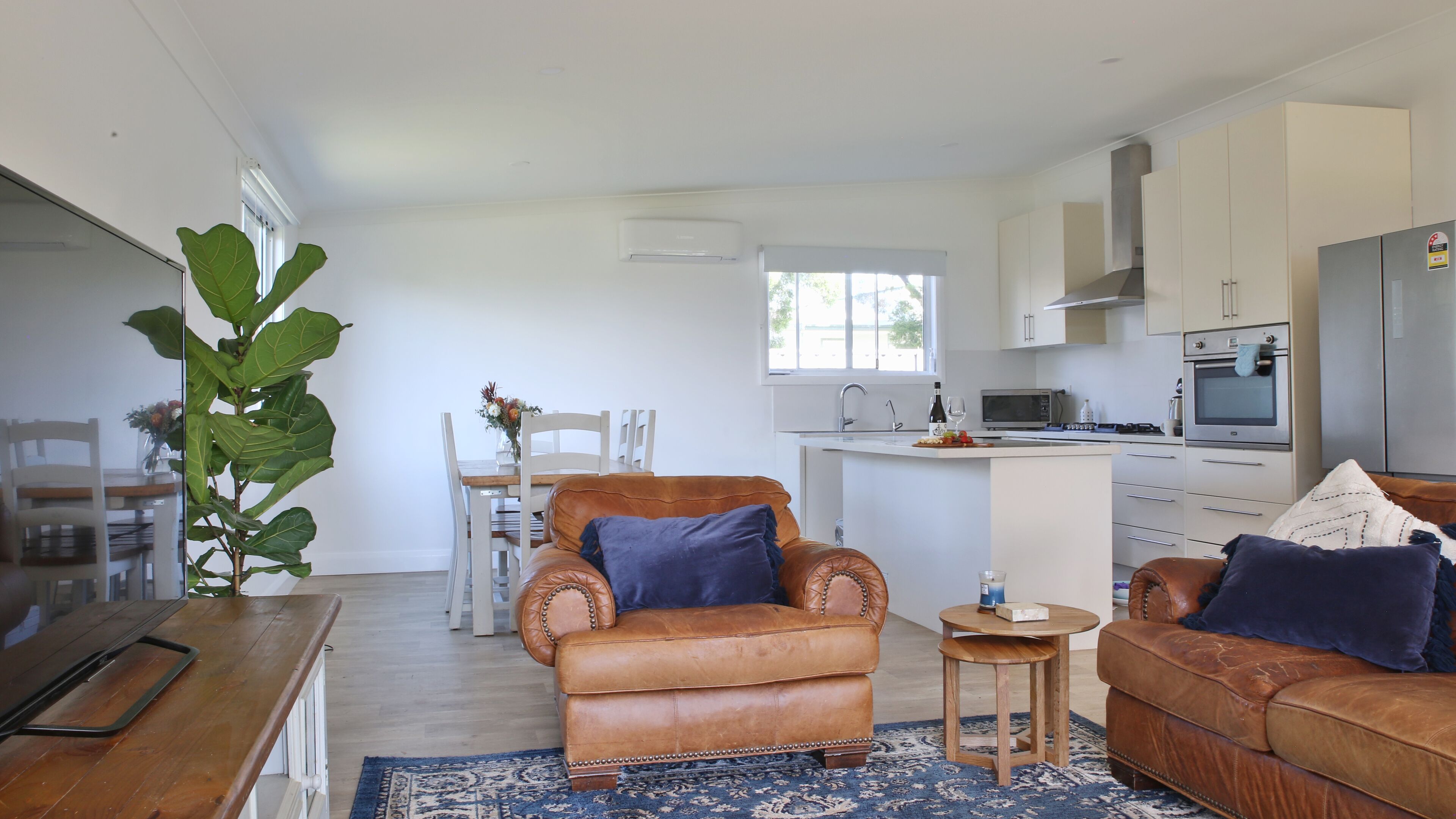 Smart TV, fireplace, DVD player, books