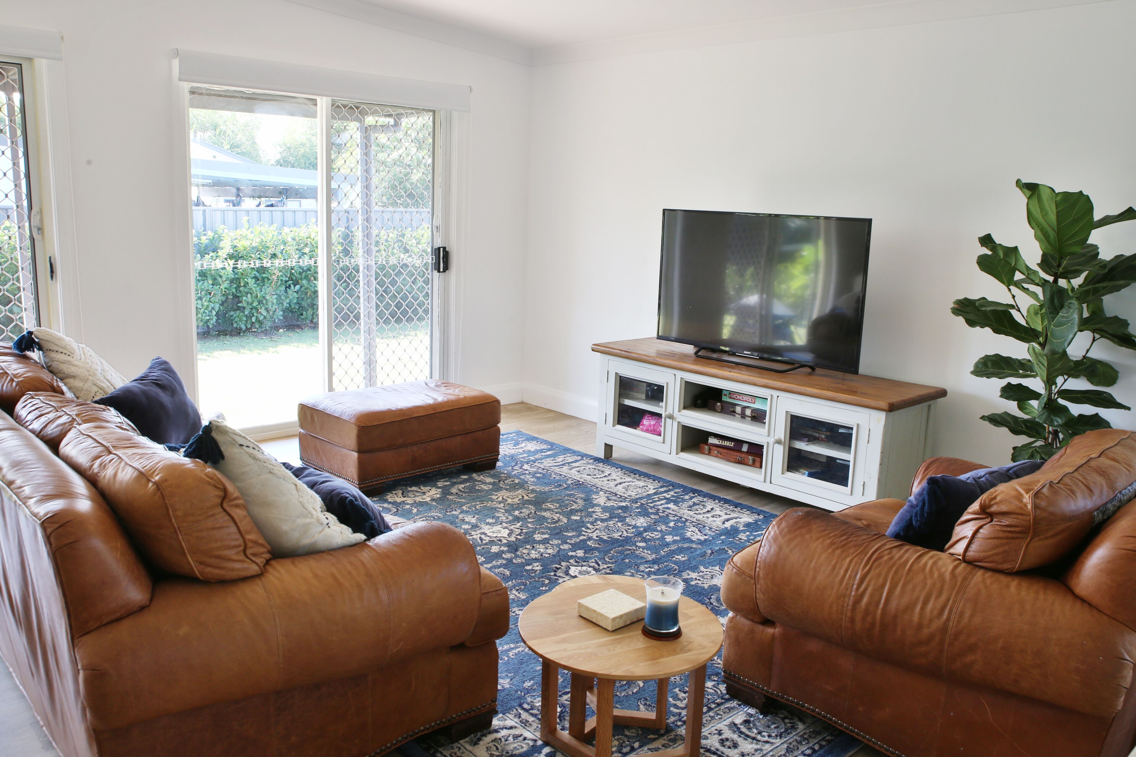 Smart TV, fireplace, DVD player, books