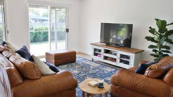 Smart TV, fireplace, DVD player, books