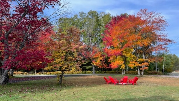 Un parc avec des chaises rouges et des arbres aux couleurs automnales.