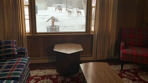 Une pièce chaleureuse avec une grande fenêtre, un canapé à carreaux, une petite table et un fauteuil à carreaux.