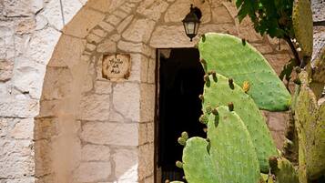 Detalle exterior