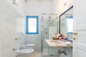 Regadera, secadora de cabello, bidet, toallas 