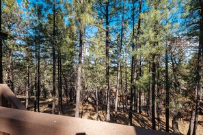 Property grounds - Cabin w/Rustic Charm, Modern Perks & Pine Views (munds park)