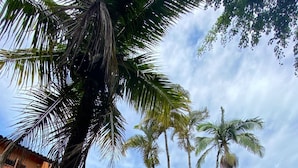 A building with a sign reading "Ponta dos Corais Pousada" surrounded by palm trees. - Ponta dos Corais (Guarujá)