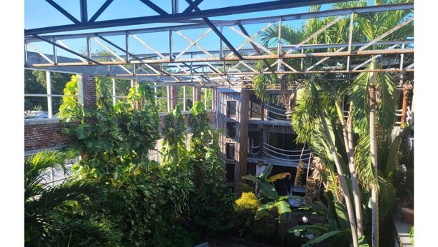 Estructura de invernadero con vigas metálicas y paneles de vidrio, rodeada de densa vegetación tropical que incluye diferentes tipos de plantas y palmeras.