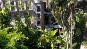 Una piscina en la azotea rodeada de abundante vegetación y una terraza de madera con mobiliario exterior.