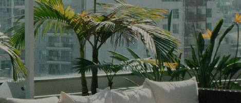 Enceinte de l’hébergement