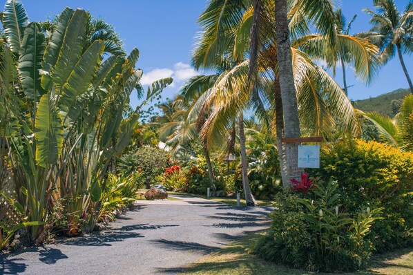 Property grounds - Villa TORU beautiful tropical style villa with outdoor bath, on the sunset side (Rarotonga)