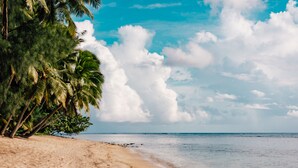 A beach with palm trees and a clear sky. - Villa TORU beautiful tropical style villa with outdoor bath, on the sunset side (Rarotonga)