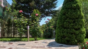 A stone-paved pathway with a row of flowering bushes and a neatly trimmed evergreen tree. - Vacation home Karin by Interhome (Lovran)