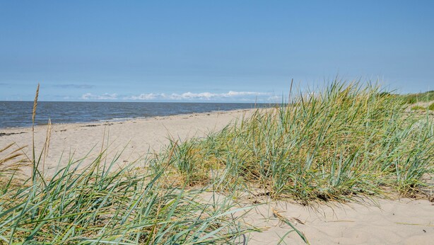 A beach with sand and grass in the foreground, a clear sky, and a calm sea in the background. - Vacation Home 'Segelboot' with Garden, BBQ & Wi-Fi (Krummhörn)