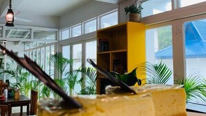 A slice of cheesecake on a white plate in a room with large windows, a yellow bookshelf, and hanging lanterns. - Sailors Beach Fiji (Nadi)