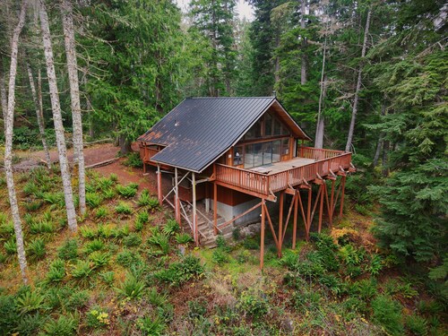 A-Frame Chalet Near Mount Rainier, Sauna, Sleeps 12
