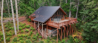 A-Frame Chalet Near Mount Rainier, Sauna, Sleeps 12