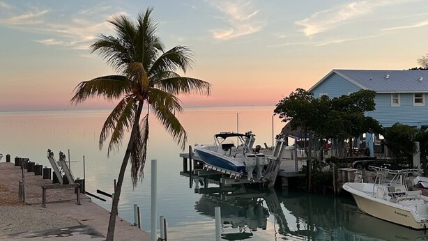 A marina with boats docked, a palm tree, and a house with a blue roof. - Dock, Pool, FREE RAMP, Kayaks, Jacuzzi, Amazing Ocean Views Pets are Welcomed! (Marathon)