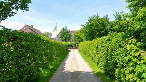 A gravel path flanked by lush green hedges, leading to a building with a flagpole.